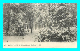 A884 / 051 75 - PARIS Effet De Neige Au Bois De Boulogne - Other & Unclassified