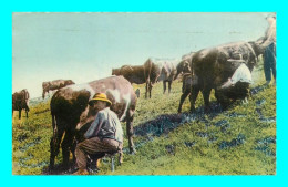 A892 / 207 15 - Le Cantal Vacherie En Montagne La Traite ( Vache ) - Autres & Non Classés