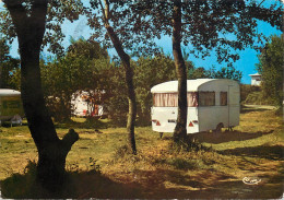 Postcard Camping Perroquet Plage Bray Dunes France - Hotels & Restaurants