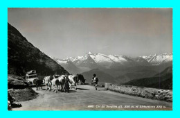 A902 / 441 Suisse Col Du Simplon Et Aletschhorn ( Vache ) - Simplon
