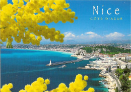 CPM - ALPES MARITIMES - NICE - ENTREE DU PORT - MIMOSA - Multi-vues, Vues Panoramiques