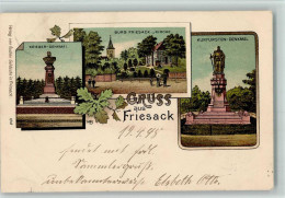 13402651 - Friesack - Friesack