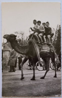 LYON 6 (69 Rhône) - Enfants à Dos De Chameau Au Parc De La Tete D'Or - Lyon 6