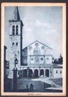 SPOLETO - PERUGIA - 1953 - IL DUOMO - ANIMATA - Perugia