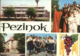 71486108 Pezinok Hotel Grand Zamok Vinobranie Trachten Weintraube Boesing Slowak - Slovakia