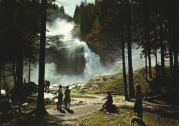 SALZBURG, KRIMML WATERFALLS, DOG, ANIMAL, AUSTRIA, POSTCARD - Autres & Non Classés