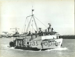 BATEAU Vers 1960 LA ROCHELLE Pêche Thoniers Navire Photo MORILLON 17,8 X 23,9 Cm - Boats