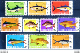 Fauna. Pesci 1973. - Maldives (1965-...)