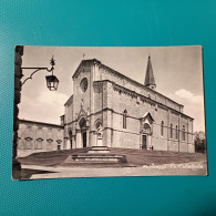 Cartolina Arezzo - La Cattedrale. Non Viaggiata - Arezzo