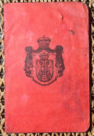 Passport Vintage Kingdom Of Yugoslavia Issued In Logatcu Slovenia 1927. Year Visa France (301.) - Documents Historiques