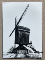 SCHAFFEN - Molen / Moulin - 14,5 X 10,5 Cm. (REPRO PHOTO !) - Places