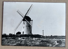 SCHELDERODE - Molen / Moulin - 14,5 X 10,5 Cm. (REPRO PHOTO !) - Luoghi