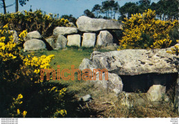 CPSM Petit Format 9 X 14  - 56 Monument Megalithique  Pres De CARNAC - Carnac