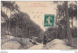 CPA   44  LA  BAULE  LE BOIS  D 'AMOUR  LES  DUNES  ET LES  PINS TB ETAT - La Baule-Escoublac