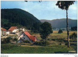 CPM    88 LONGEMER LES HOTELS ET LE LAC - Autres & Non Classés