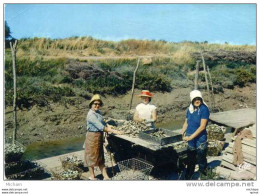 CPM 17 OLERON   TRIAGE DES  HUITRES   PARFAIT   ETAT - Ile D'Oléron