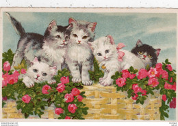 C P A - THEME - CHAT -   5 Chatons   Dans Les Roses - Cats