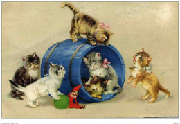 CHATONS JOUEURS - Chats