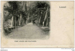 CPA  70   LUXEUIL   PARC   ALLEE DES PLATANES     PARFAIT  ETAT - Luxeuil Les Bains