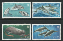 Ascension Is. - 2009 - Whales - Yv 966/69 - Ballenas