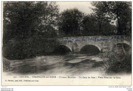 CPA 21 CHATILLON S/SEINE   CHATEAU MARMONT VIEUX PONT SUR LA SEINE    PARFAIT ETAT - Chatillon Sur Seine