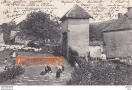 C P A   10  COURSAN Le Lavage  Des Moutons - Sonstige & Ohne Zuordnung