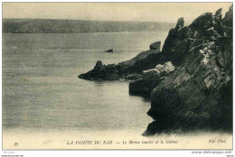 POINTE DU RAZ LE MOINE COUCHE - Autres & Non Classés