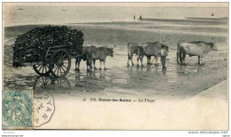 RONCE LES BAINS LA PLAGE  ATTELAGE DE BOEUFS GROS PLAN TOP - Autres & Non Classés