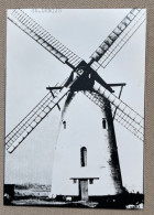 SINT-DENIJS - Molen Ter Claere - 14,5 X 10,5 Cm. (REPRO PHOTO !) - Places