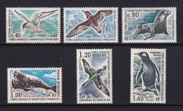 135 TERRES AUSTRALES (TAAF) 1976 - Yvert 55/60 - Oiseau Phoque Manchot Otarie  - Neuf **(MNH) Sans Charniere - Nuevos