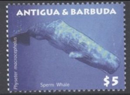 Antigua & Barbuda - 2009 - Sperm Whale - Yv 4044 - Baleines