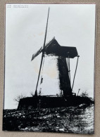 SAINTES (Sinte-Renelde) - Le Moulin D'Hondzocht - 14,5 X 10,5 Cm. (REPRO PHOTO !) - Luoghi