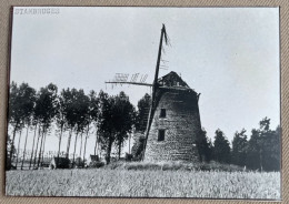 STAMBRUGES (Beloeil) - Moulin Colmant - 14,5 X 10,5 Cm. (REPRO PHOTO !) - Lieux