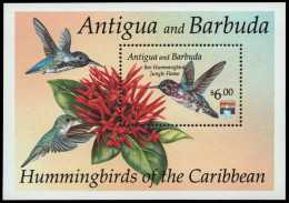 Antigua & Barbuda - 1992 - Hummingbirds Of The Caribbean - Yv Bf 234 - Segler & Kolibris