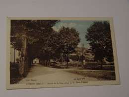 RHONE-CHESSY-AVENUE DE LA GARE ET VUE LE VIEUX CHATEAU - Autres & Non Classés