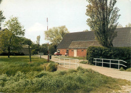 Postcard Camping Mussennist Ossenisse - Hotels & Gaststätten