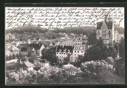 AK Sigmaringen, Blick Auf Die Stadt Und Das Schloss  - Sigmaringen