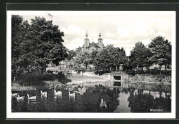 AK Walldürn / Baden, Blick Vom Schwanenteich Auf Die Kirche  - Baden-Baden