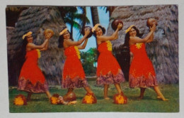 Carte Postale - Danseurs Typiques Hawaïens. - Danze