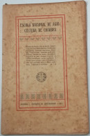 1917 - Escola Nacional De Agricultura De Coimbra - Livro Antigo E Curioso - Scolastici