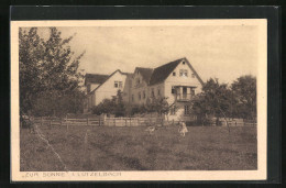 AK Lützelbach, Gasthaus Und Pension Zur Sonne  - Autres & Non Classés