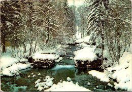 7-6-2024 (28) France - Le Torrent En Hiver (tree & River In Winter Snow) - Arbres