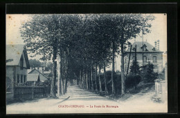 CPA Chateaurenard, La Route De Montargis  - Montargis