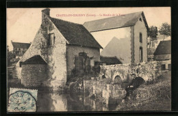 CPA Chatillon-Coligny, La Moulin De La Fosse  - Chatillon Coligny