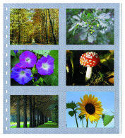 Safe Spezialblätter Für Fotos Nr. 676 (5er Pack) Neu ( - Altri & Non Classificati