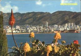 72223546 Benidorm Stadtansicht  - Other & Unclassified