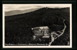 AK Wernigerode /Harz, Berg-Gasthaus A. D. Armeleuteberg U. Kaiserturm  - Wernigerode