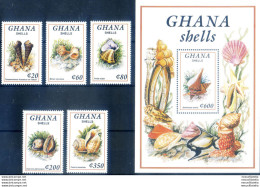 Conchiglie 1992. - Ghana (1957-...)