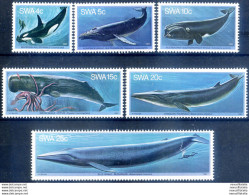 Fauna. Cetacei 1980. - Namibie (1990- ...)