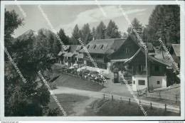 Cm350 Cartolina Albergo Drassl Stazione Di S.vigilio Provincia Di Bolzano - Bolzano (Bozen)